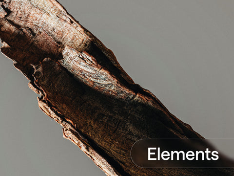 Log and Branch Elements