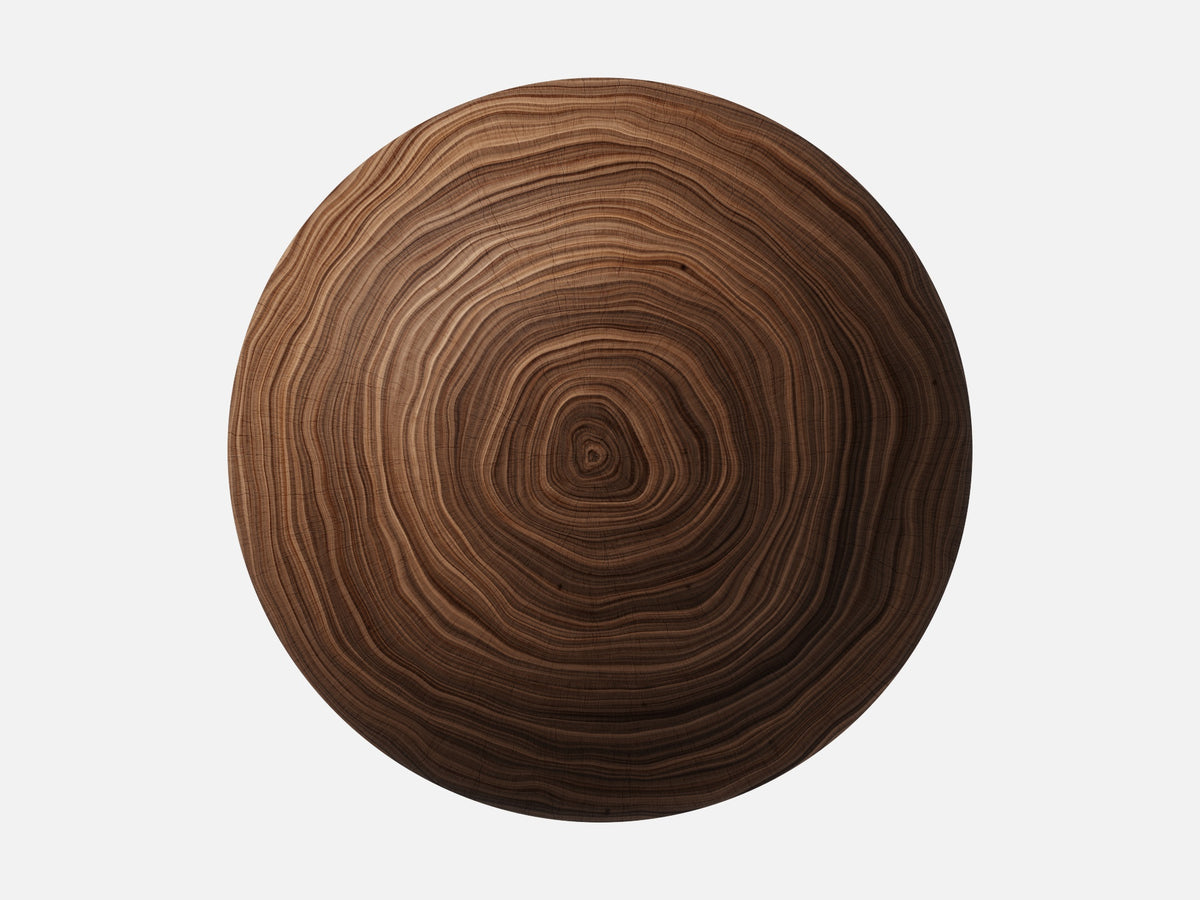 Walnut Wood 001 Endgrain