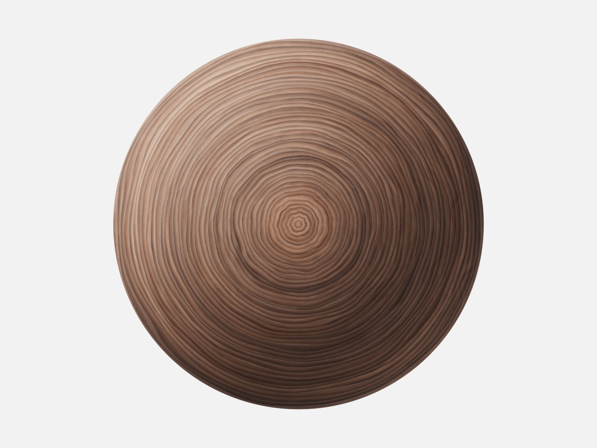 Walnut Wood 002 Endgrain